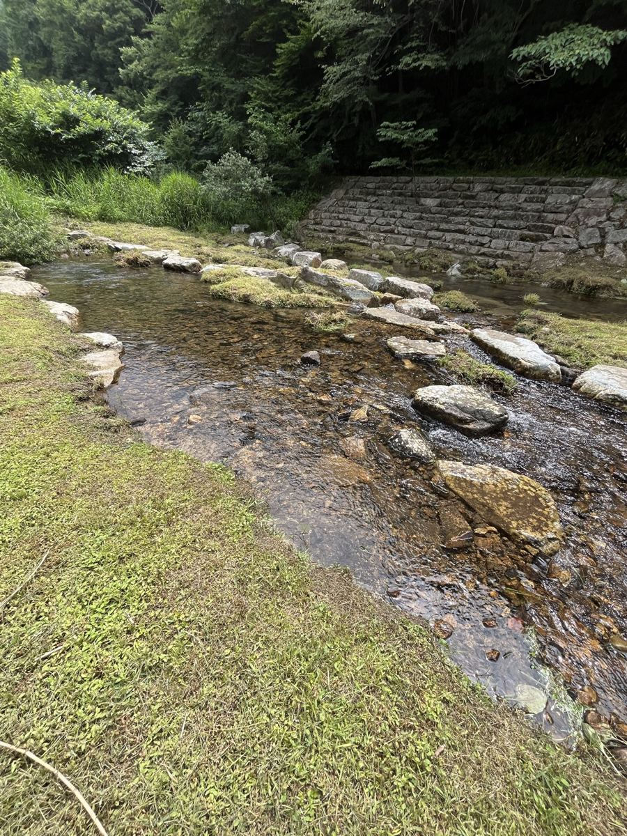 今回の会場を流れる川と緑の景色
